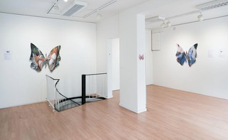 Butterfly Gina (To make love with drones), Ars Libera Gallery, Kuopio, Finland, 2020