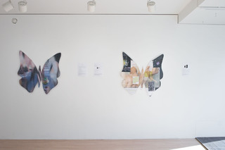 Installation view at Andrey Bogush: Butterfly Gina (To make love with drones), Ars Libera Gallery, Kuopio, Finland, 2020