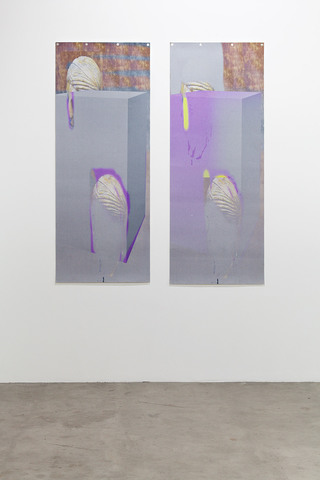 Proposal for duplicated head, purple and grey default cube (ver 1 & 2), stretched, 2016. UV-print on vinyl carpets, 100 x 250cm. Installation view at Basic Photography, SIC Gallery, Helsinki, Finland, 2017