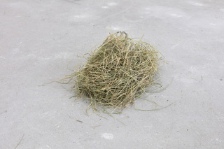 Food for horse (straw), 2023. Installation view at Shahin Zarinbal, Berlin